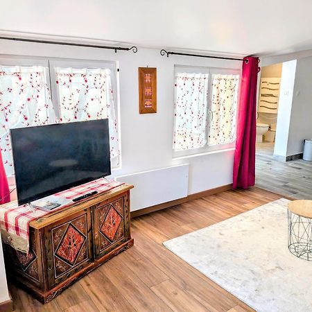 "Appartement Au Centre & Parking" Logement Petite Venise Кольмар Экстерьер фото